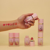 رژگونه پددار اسنس